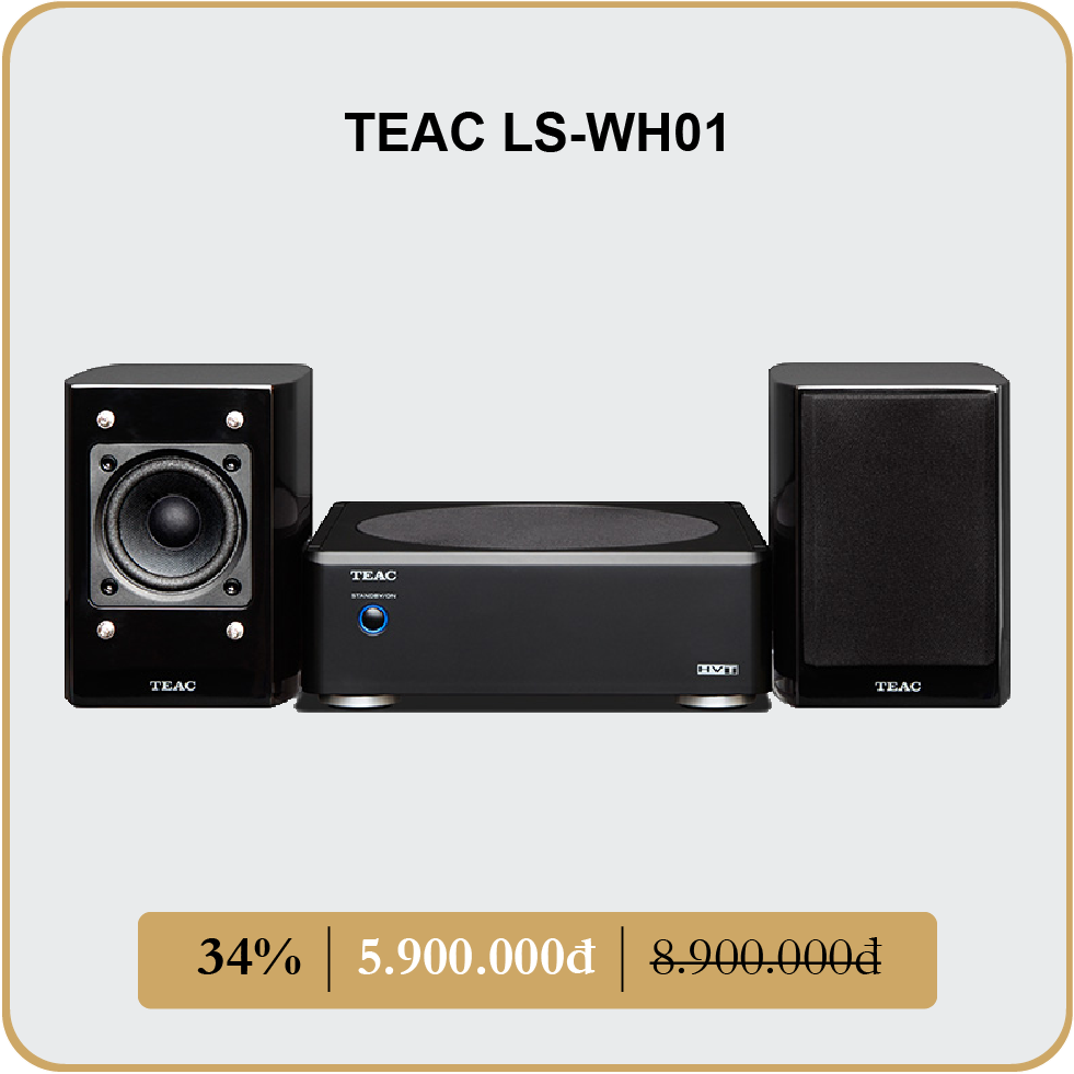 TEAC LS-WH01
