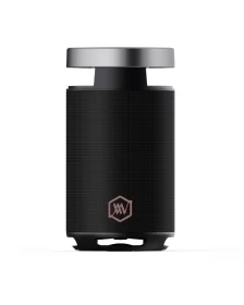 Loa Party Alpha Works STUDIO 110